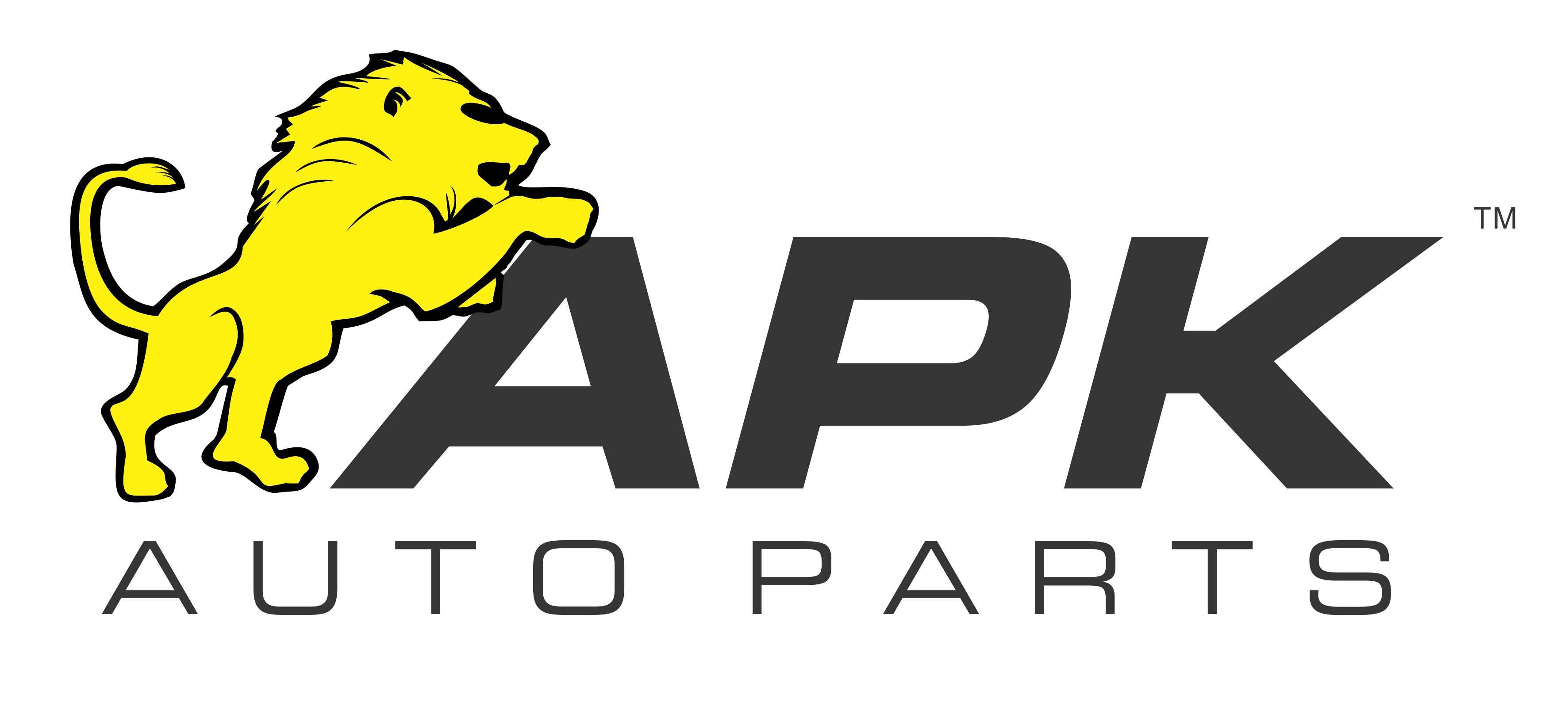 APK Auto Parts